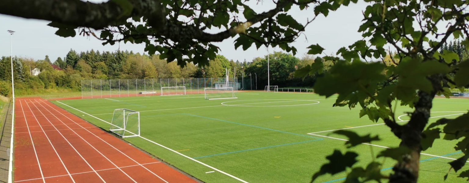 Sportpark Lange Gewann mit Baum